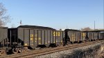 CSX 835989 is new to rrpa.